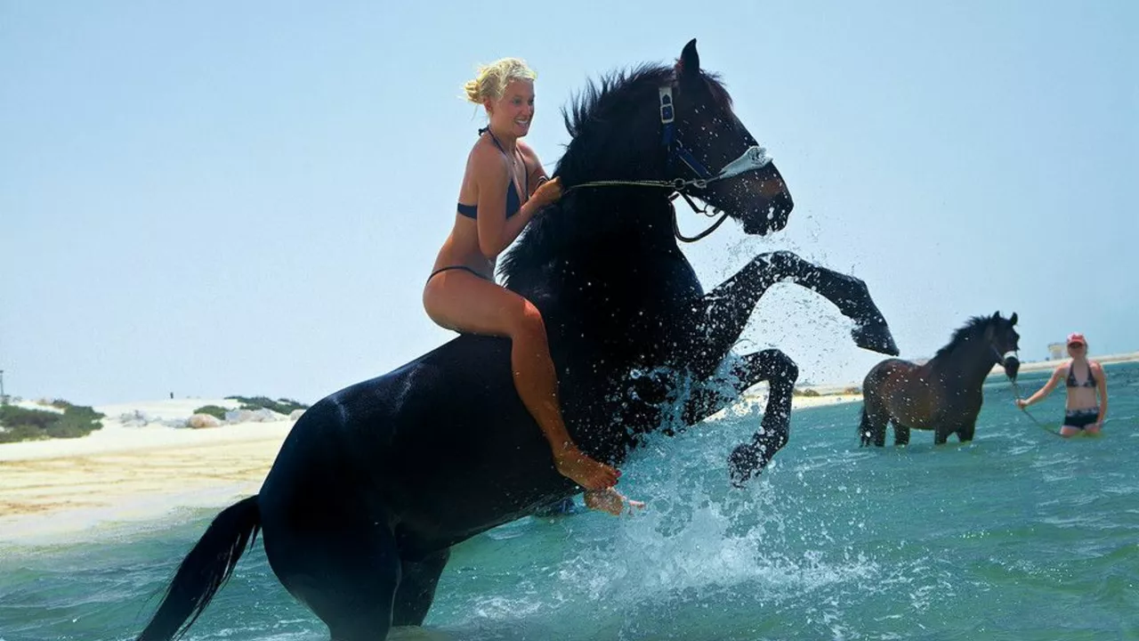 Swimming or Horse-back riding, which do you prefer & why?